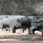 Toros de Guisando en Ávila