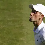 Novak Djokovic lanzó un beso a la grada de la central de Wimbledon en el partido de semifinales contra Norrie