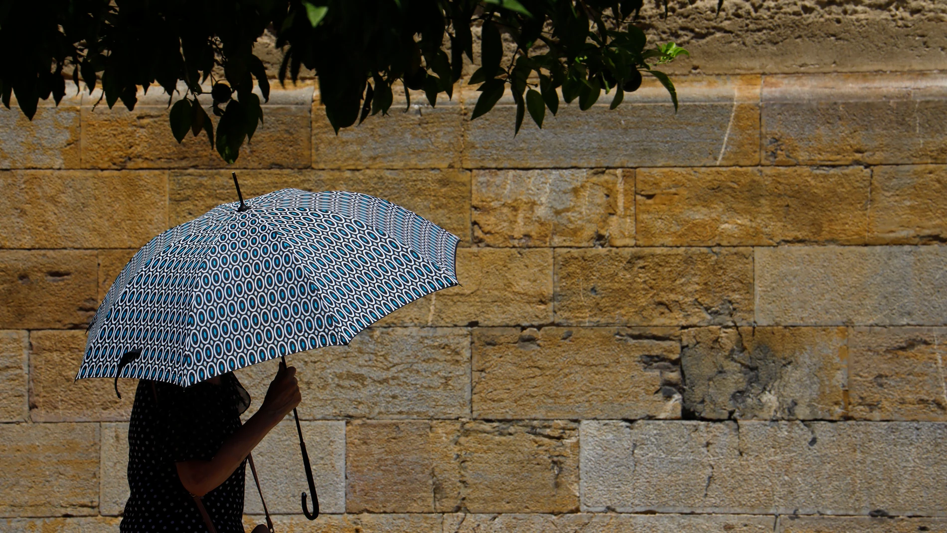 Una persona se protege con un paraguas de las altas temperaturas en Córdoba. EFE/Salas