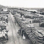 Centenares de sacos de cacahuetes preparados para su exportación en el Senegal de principios del siglo XX.