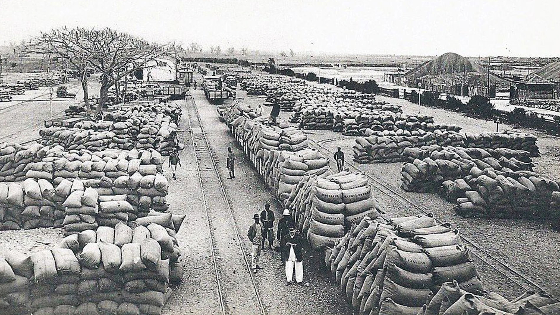 Centenares de sacos de cacahuetes preparados para su exportación en el Senegal de principios del siglo XX.