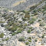 Paraje abulense donde se ha producido el rescate este sábado