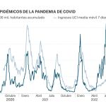 Picos endémicos de la pandemia covid