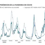 Picos endémicos de la pandemia covid