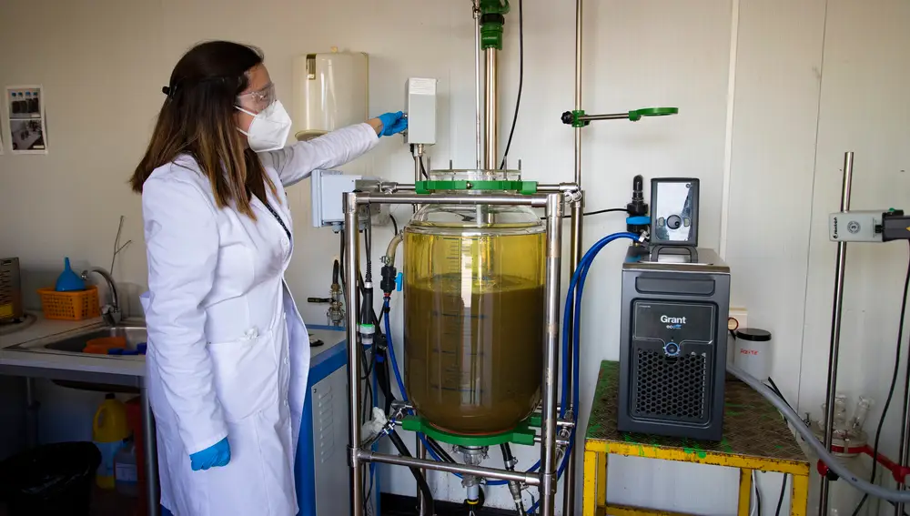 El equipo de Perseo ha desarrollado una tecnología propia patentada para obtener bioetanol
