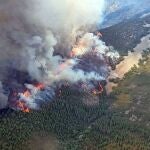 Incendio forestal en Cepeda, en la Sierra de Francia (Salamanca)