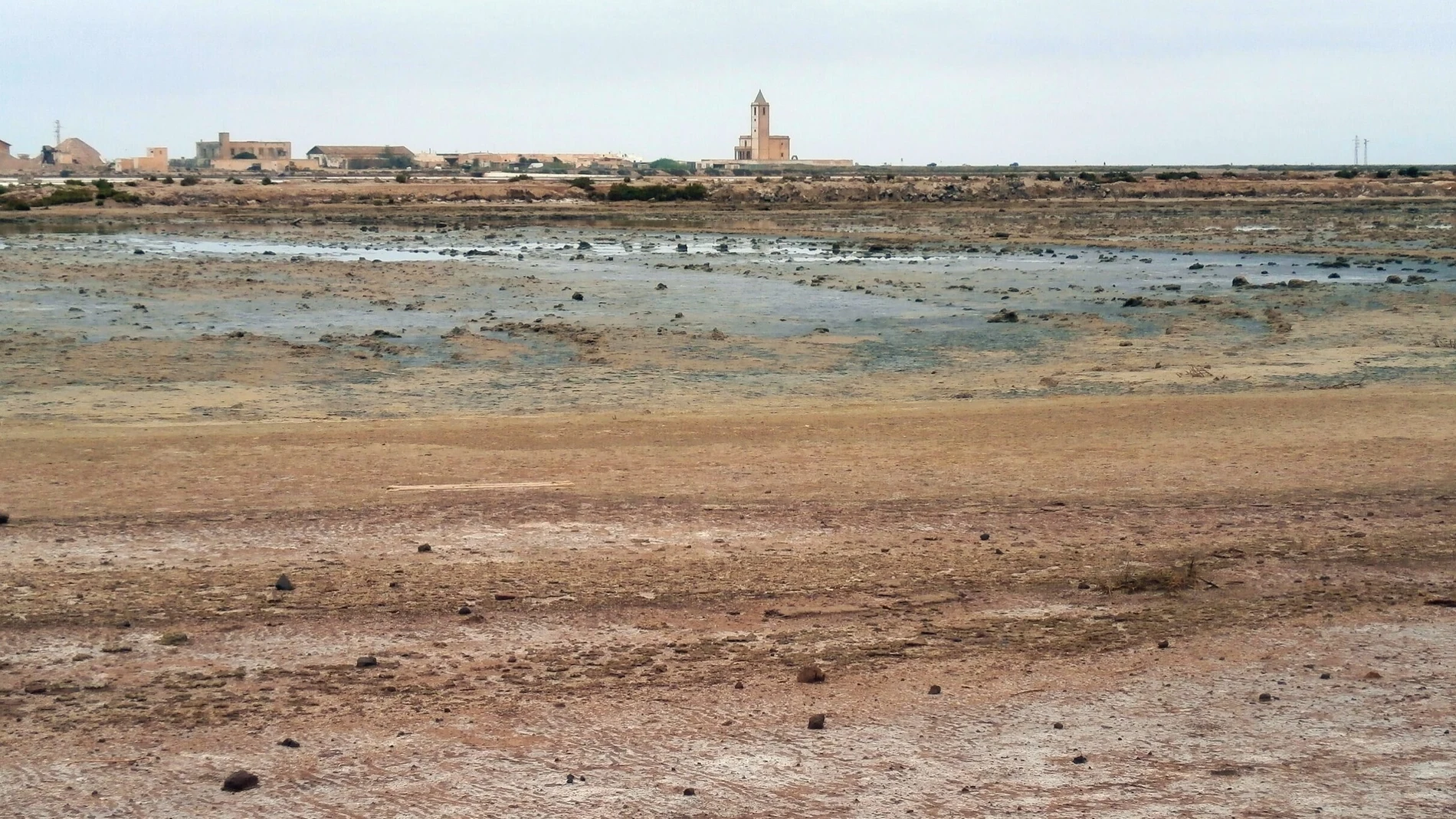 Situación actual del humedal protegido de Las Salinas de Cabo de Gata, en Almería. AMIGOS DEL PARQUE