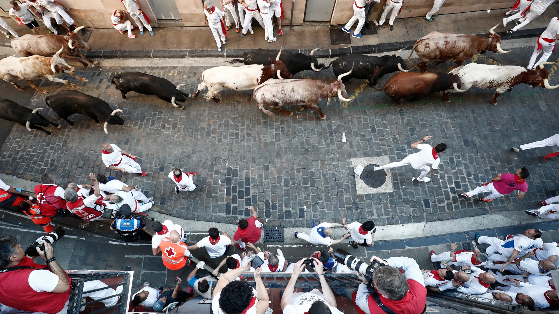 Los toros de la ganadería pacense de Jandilla en los últimos metros de la Cuesta de Santo Domingo