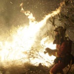Los bomberos tratan de combatir el fuego declarado ayer en la localidad de El Ladrillar (Cáceres)