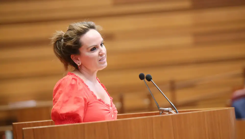 La socialista Patricia Gómez interviene en el hemiciclo de las Cortes