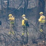 Efectivos del cuerpo de bomberos trabajan en las labores de extinción del incendio declarado en el término de Monsagro, al suroeste de Salamanca