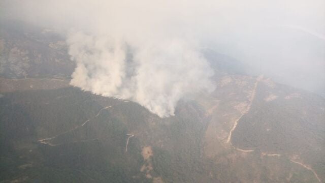 Imagen del incendio forestal en Candelario (Salamanca) @NATURALEZACYL 14/07/2022
