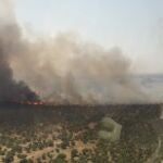 Imagen del incendio declarado en Castronuño (Valladolid)