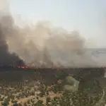 Imagen del incendio declarado en Castronuño (Valladolid)