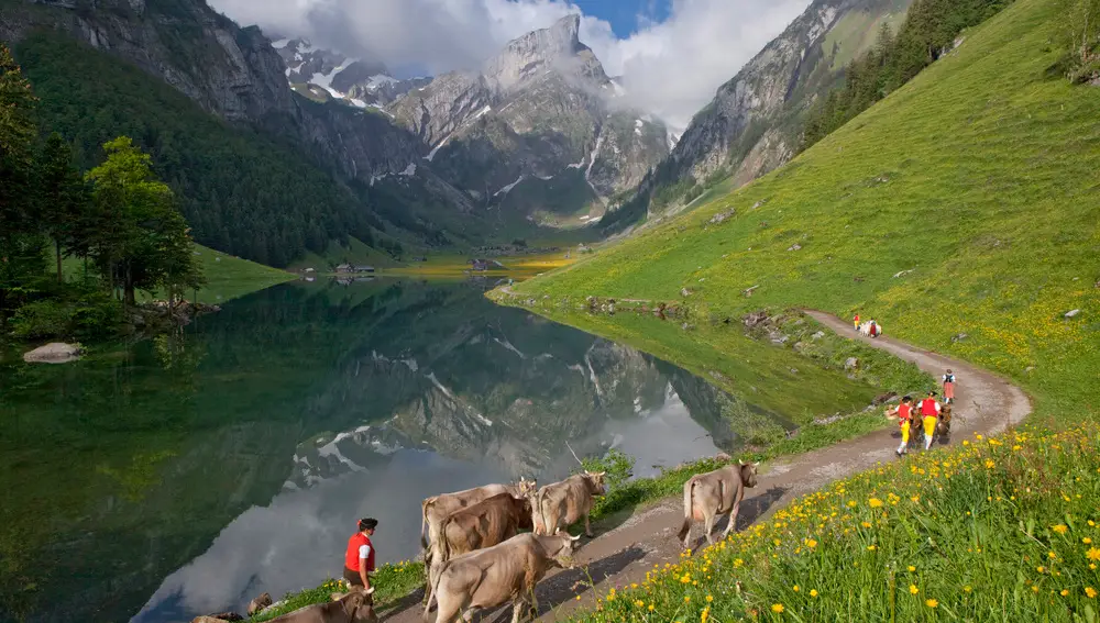 Seealpsee, el lago en la cordillera de Alpstein del cantón de Appenzell Alpestein