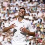  Así de fuertes son las presiones a favor Djokovic para el US Open: “Tiene que estar sí o sí”