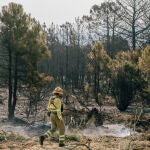Un técnico revisa este domingo una de las zonas quemadas tras el incendio declarado el día anterior en la localidad abulense de Cebreros