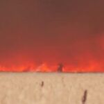 Captura del vídeo donde se aprecia al varón de 50 años corriendo para salvar su vida en Tábara (Zamora)