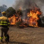 Varios bomberos trabajan en la extinción del fuego de un incendio