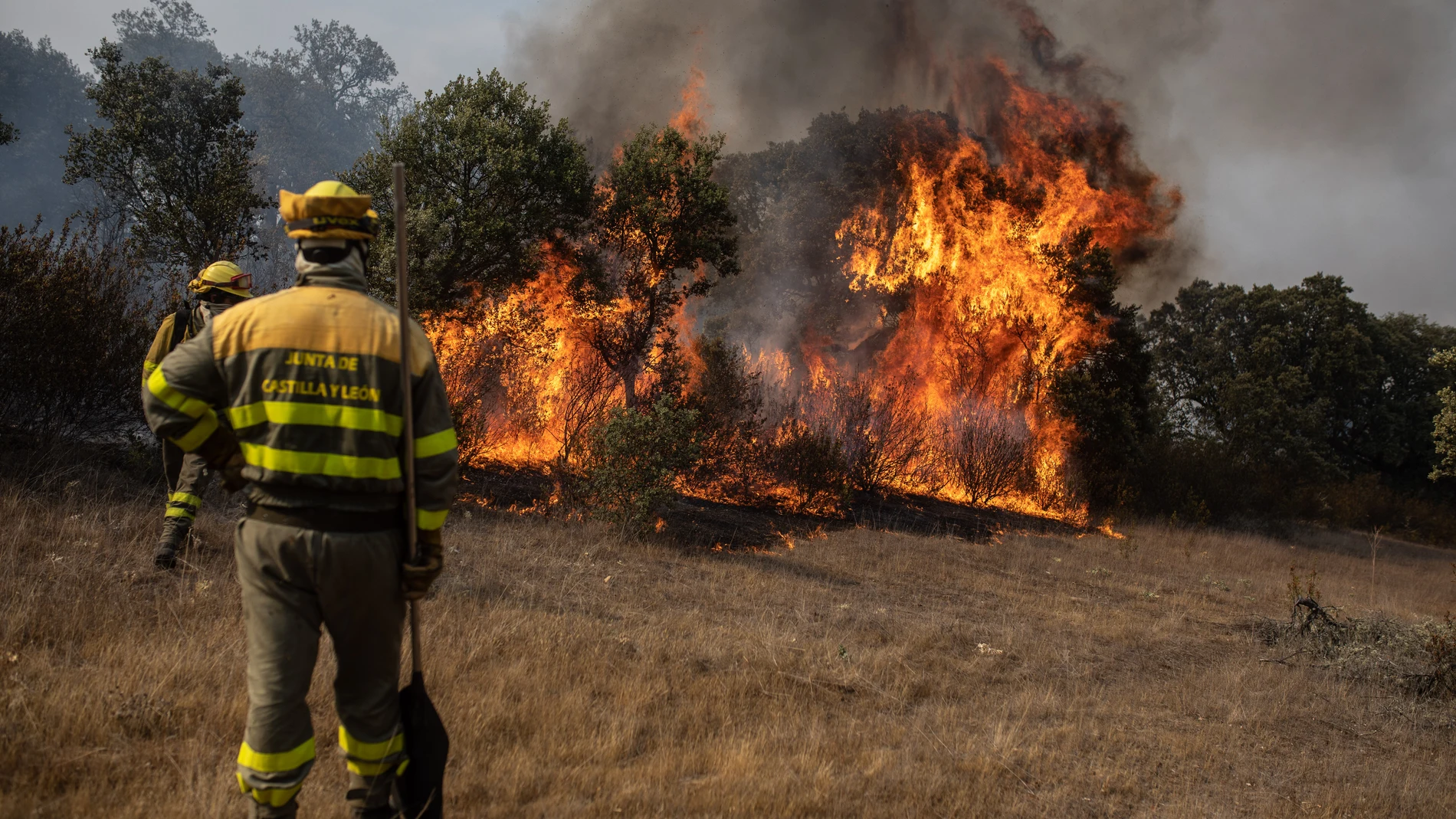 Varios bomberos trabajan en la extinción del fuego del incendio de Losacio, a 18 de julio de 2022, en Pumarejo de Tera, Zamora