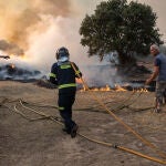 Un bombero y dos vecinos trabajan en la extinción del incendio de Losacio