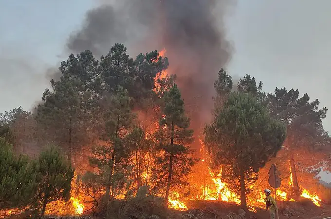 Incendios en España hoy: Los incendios de León y Ávila, los más preocupantes una vez controlado Zamora