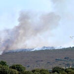 Vista del incendio en la comarca de Tábara (Zamora), uno de los focos más activos actualmente del incendio forestal de Losacio (Zamora)