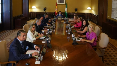 El presidente de la Junta en funciones, Juanma Moreno, preside la última reunión ordinaria del Consejo de Gobierno del actual mandato en el Palacio de San Telmo. Eduardo Briones / Europa Press