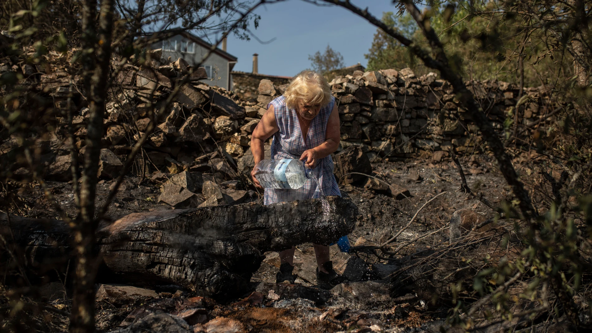 Una mujer echa agua en una zona vegetal afectada por el incendio en Ferreras de Abajo, Zamora