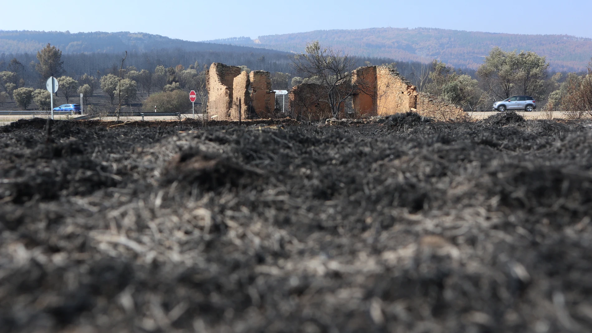Vista de la zona afectada de San Martín de Tábara (Zamora), por el incendio forestal de Losacio (Zamora