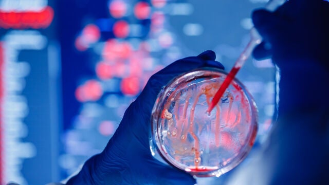 Para Europa, las tres principales amenazas para la salud son los patógenos, los riesgos químicos, biológicos, radiológicos y nucleares y los derivados de la resistencia a los antimicrobianos