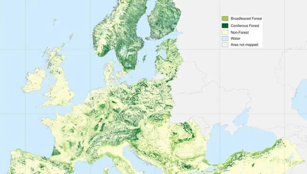 Mapa forestal europeo
