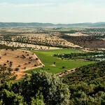Viñedo de Bodegas NOC, una creación que nace en los Montes de Toledo