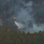 Helicópteros contra incendios actúan en los montes cercanos a Las Llanadas, en Los Realejos