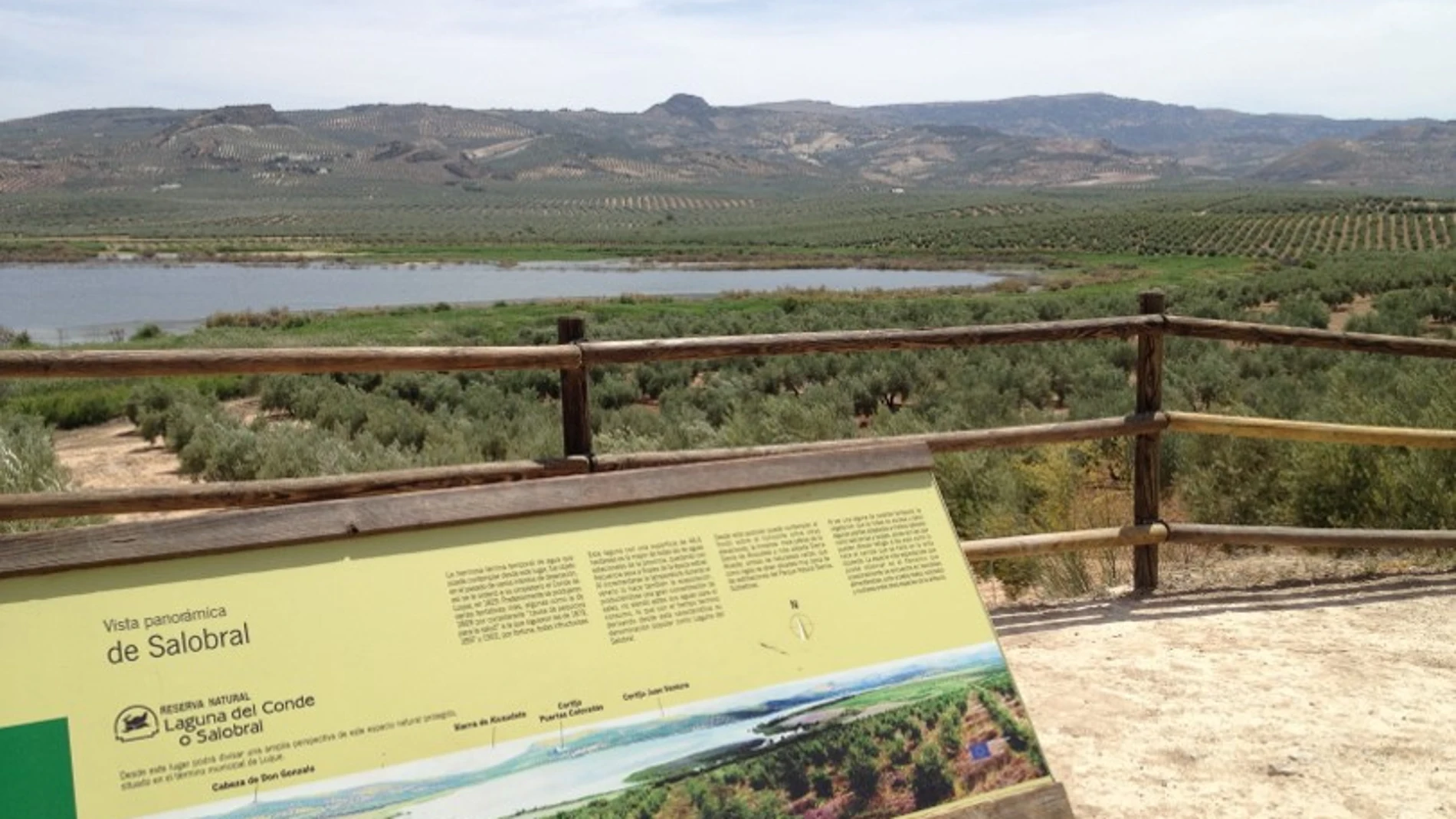 En primer plano se ve un cartel donde se lee "Laguna del Salobral". Está en un mirador que da a una laguna rodeada de vegetación