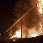 Los bomberos tratan de apagar las llamas y árboles ardiendo en el incendio en Castrelo de Miño (Orense)
