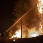  El Gobierno ultima un real decreto contra los incendios
