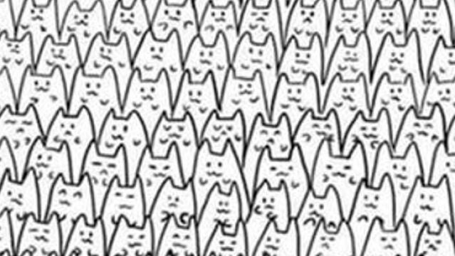 Encuentra a Batman entre los gatos