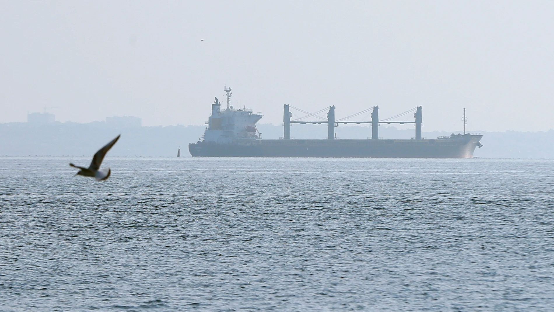 Un buque de carga de maíz sale del puerto de Odesa, Ucrania