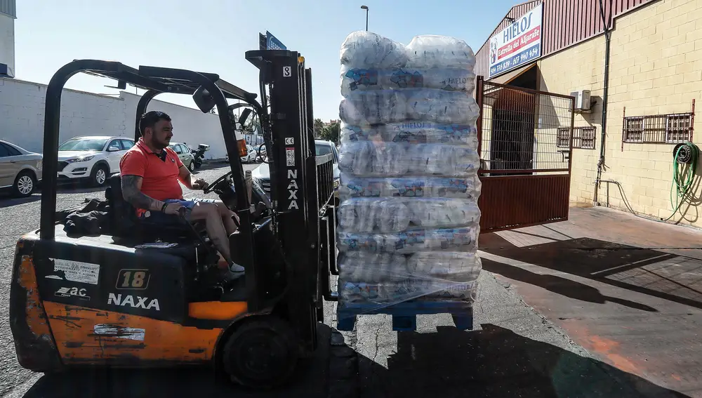 Un trabajador transporta sacos de hielo listos para su consumo en la fábrica de cubitos de hielo La Estrella en Coria del Río (Sevilla). EFE/ José Manuel Vidal