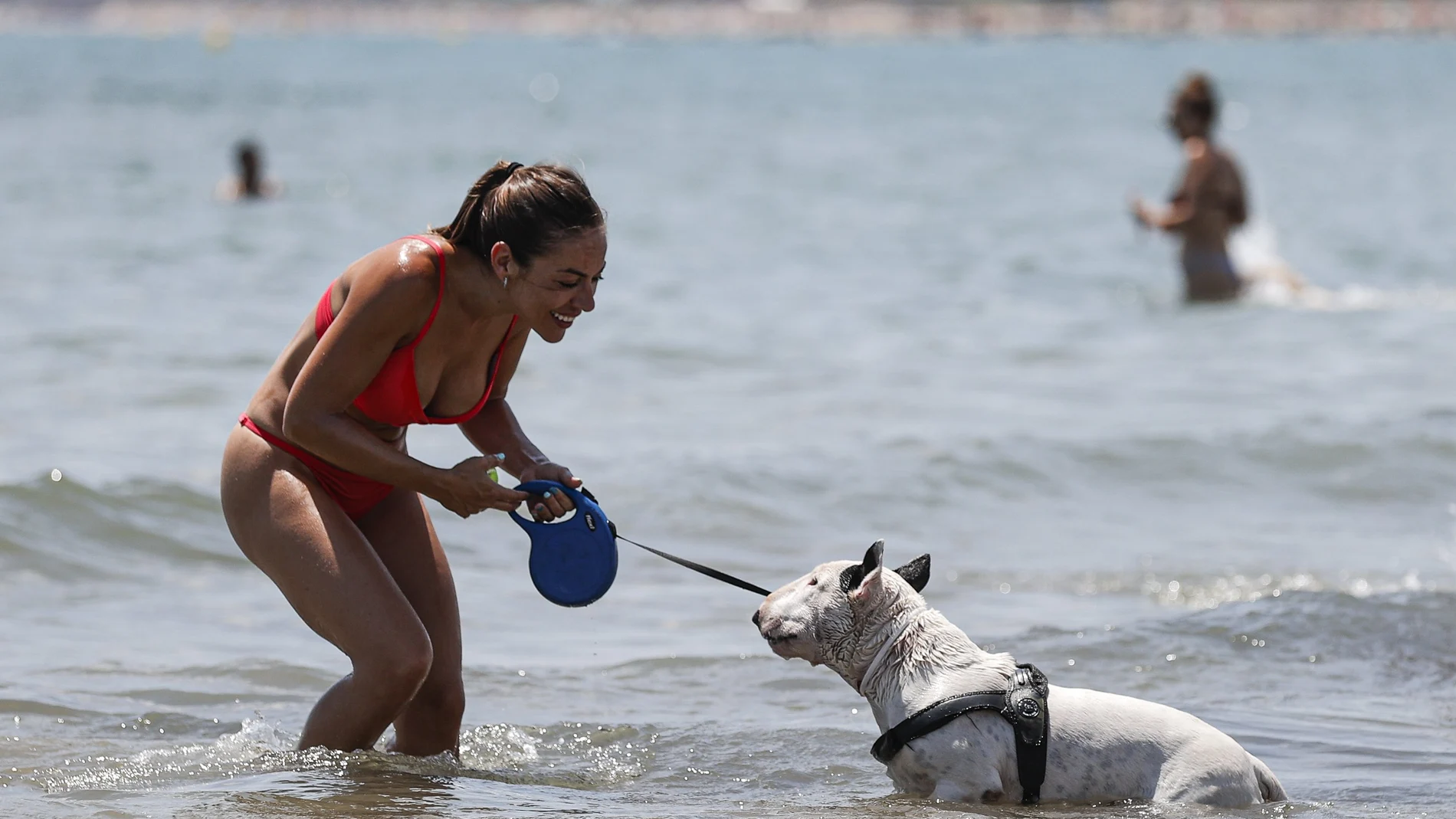 Un perro juega junto a su dueña en la playa canina de Pinedo, pedanía al sur de València.