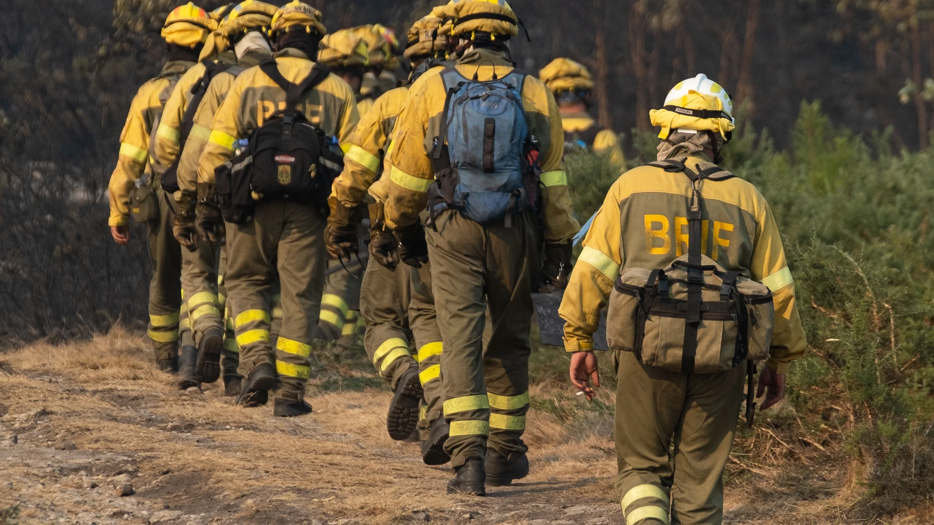 Bomberos trabajan en la extinción de un incendio en Galicia