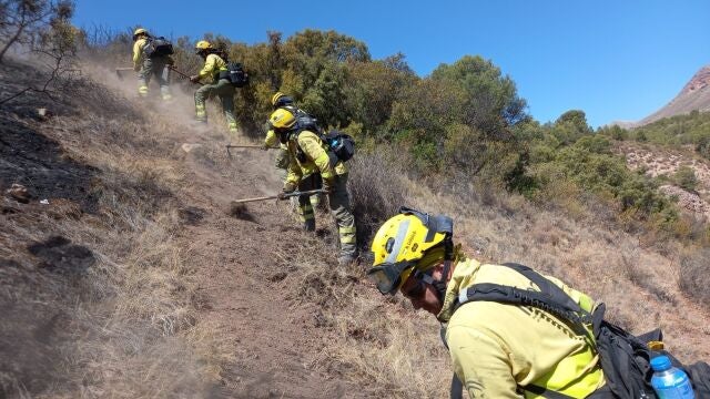 Operarios en acción para extinguir un incendio forestal