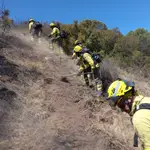Operarios en acción para extinguir un incendio forestal