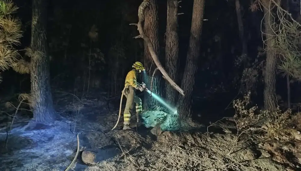 Un manguerista en la zona del incendio de Santa Cruz del Valle. NATURALEZA CYL 09/08/2022