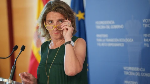 Teresa Ribera en la rueda de prensa posterior a la reunión de la Conferencia Sectorial de Energia, Industria y Comercio , que se celebra de manera telematica.