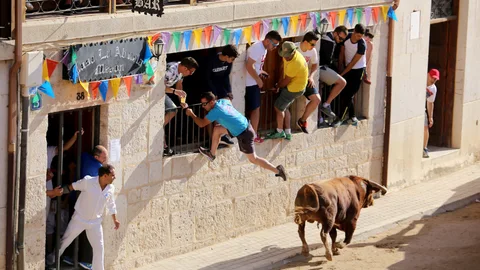 Capea en el coso de Peñafiel (Valladolid), con un toro por fuera del ruedo, como es típico en esta plaza medieval