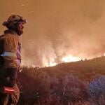 Castilla y León, en alerta por un "incremento claro" del riesgo de incendios forestales