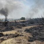 Incendio forestal en Alicante