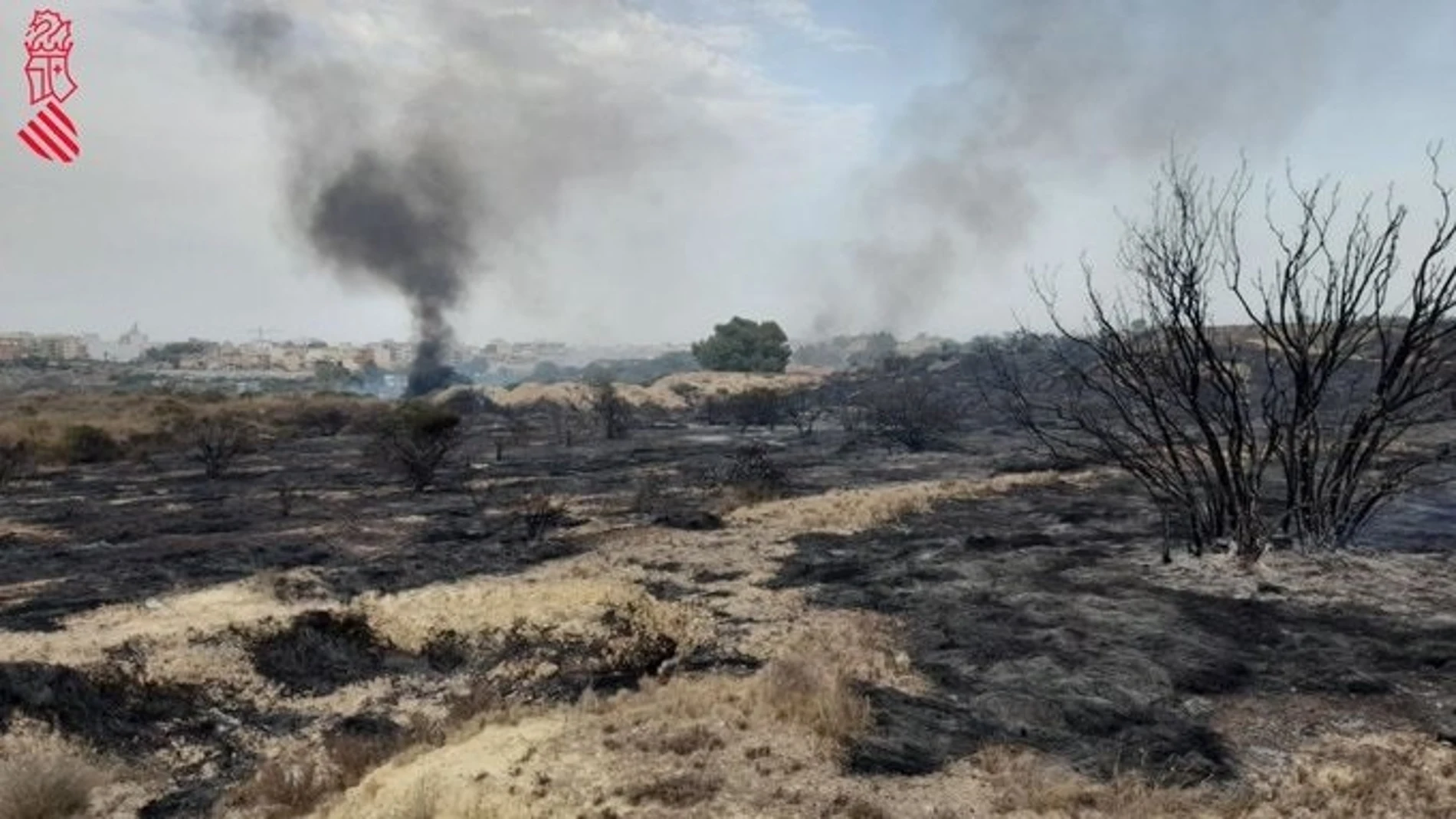 Incendio forestal en Alicante